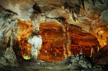 Phong-nha (1)