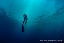 Dusit Thani Maldives launches Maldives' first official Free-Diving Centre