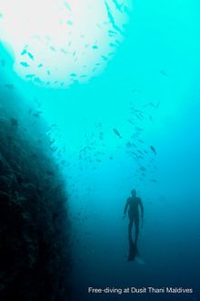 Dusit Thani Maldives launches Maldives' first official Free-Diving Centre 