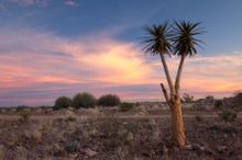 Sunset, Augrabies Falls National Park, South Africa