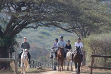 Pakamisa Private Game Reserve, South Africa