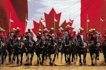 The Charge: Royal Canadian Mounted Police's world famous Musical Ride