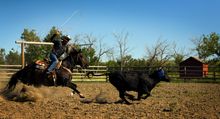 La Reata Working Ranch, Saskatchewan