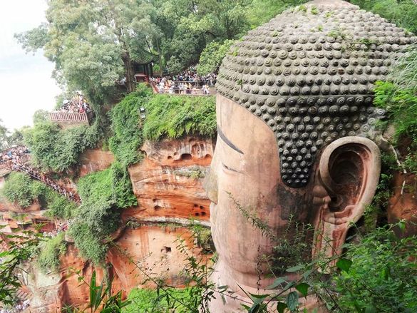 Buddha's Head