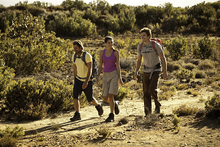 Walkers on the Camino de Santiago