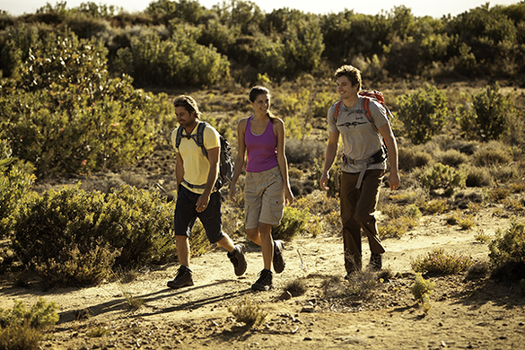 Walkers on the Camino de Santiago