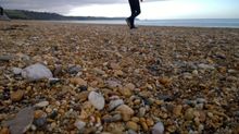 Devon – Far Side of Wessex