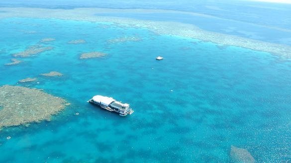 Knuckle Reef, The Whitsundays