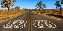 Route 66