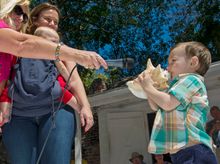 Three-year-old Frank Umlauf, right, blows a conch shell during the Conch Shell Blowing Contest in Key West, Fla. From left, is c