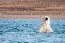 Welcome to the Canadian Arctic!