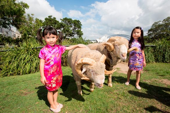 Emily Kong age 4 (left) and Shirley Kong age 6 (right) with Fred and Truffles