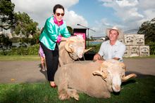 Lord Mayor Media Launch Fred and Truffles