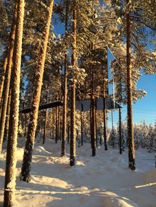 The Mirrorcube at Treehotel, Swedish Lapland