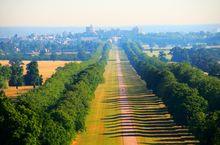 Windsor Great Park