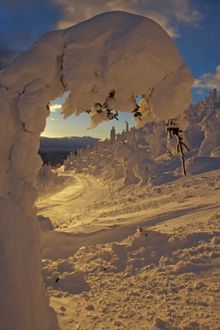 Whitefish Resort Montana