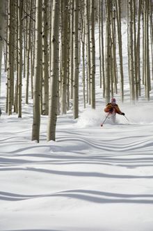 Tree skiing at Canyons Resort, Park City