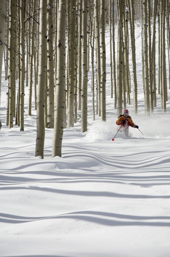 Tree skiing at Canyons Resort, Park City