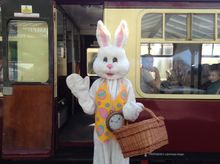 The Great Central Railway Easter Bunny Express