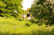 National Forest Walking Festival