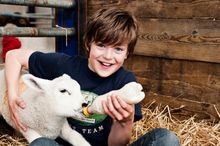 Bottle-feeding the lambs at the National Forest Adventure Farm