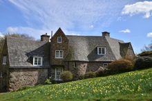 Drifts of daffodils at the National Trust's Stoneywell