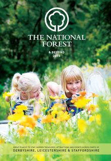 National Forest & Beyond 2015 Visitor Guide