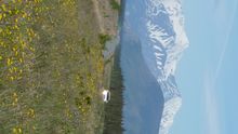 Alaska Highway, Yukon