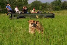 Game drive