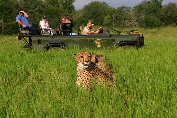 Game drive