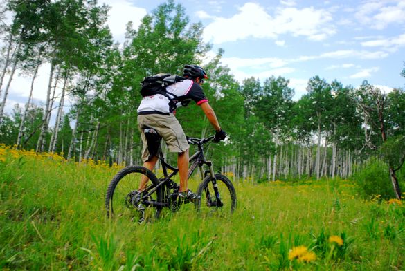 Aspen & Snowmass