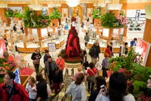 Macy’s Flower Show® 