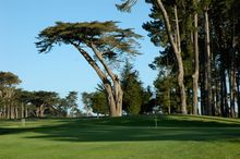TPC Harding Park