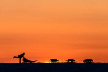 State of Alaska/Chris McLennan.
