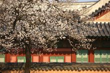 Springtime in Korea