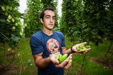 Bridge Road Brewers Ben Kraus at Rostrevor Hops Garden