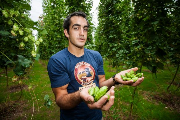 Bridge Road Brewers Ben Kraus at Rostrevor Hops Garden