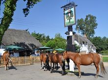 Ponies at the pub