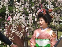 Japan in bloom