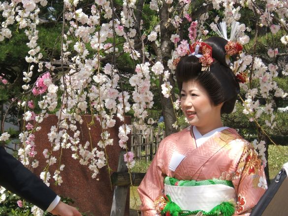 Japan in bloom