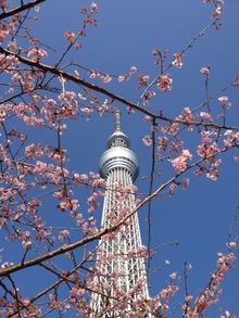 Nature vs Man - Tokyo 