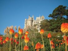 St Michael's Mount Sub Tropical Gardens