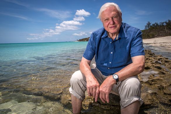 David Attenborough returns to the Great Barrier Reef