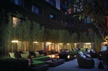 Kowloon’s best kept secret open-air lounge bar  and hotel’s “green lungs” Vibes