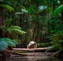 World Heritage-listed K'gari provides a picture perfect background to this retreat