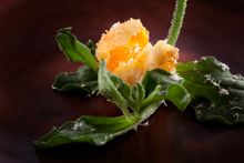 WHISK’s Champagne Brunch: gourmet eggs and mains are made to order and served to table