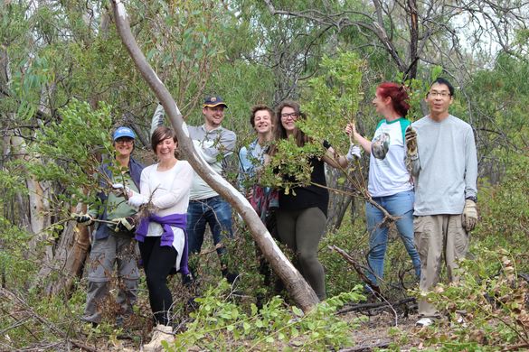 Triumphant group of locals after removing Boneseed weed