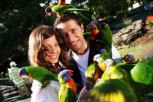 Currumbin Wildlife Sanctuary