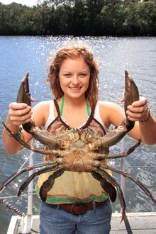 Catch a Crab