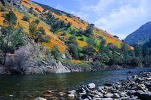 Beautiful Merced River Canyon with Wildflowers